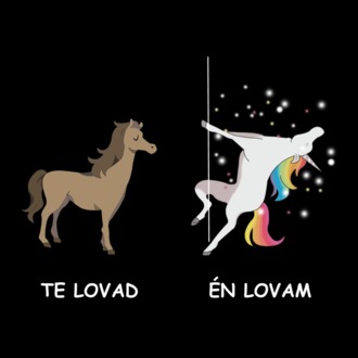 te lovad én lovam unikornis